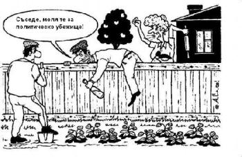 Картинки