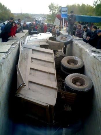 Картинки