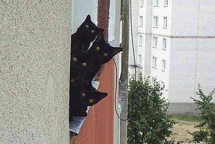 К'во става