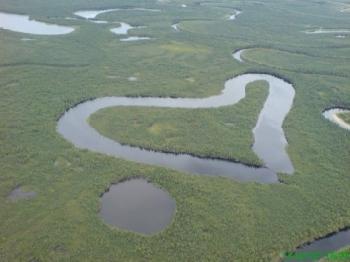 Картинки