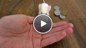 Умно мишле си купува храна